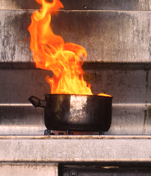 121184 Owl Project Social Asset 1200X628px O Personalaccident 1